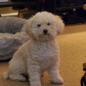 Meet your Posher, Debbie